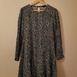 A-line long sleeve Zara dress
